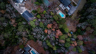 Aerial view of suburban homes and autumn forest canopy