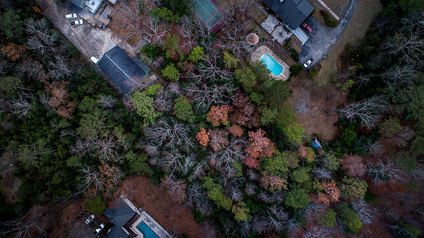Aerial view of suburban homes and autumn forest canopy