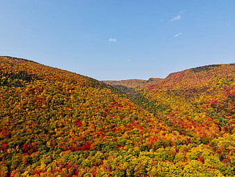 Vibrant Autumn Foliage on Rolling Mountain Hills