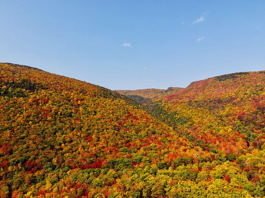 Vibrant Autumn Foliage on Rolling Mountain Hills