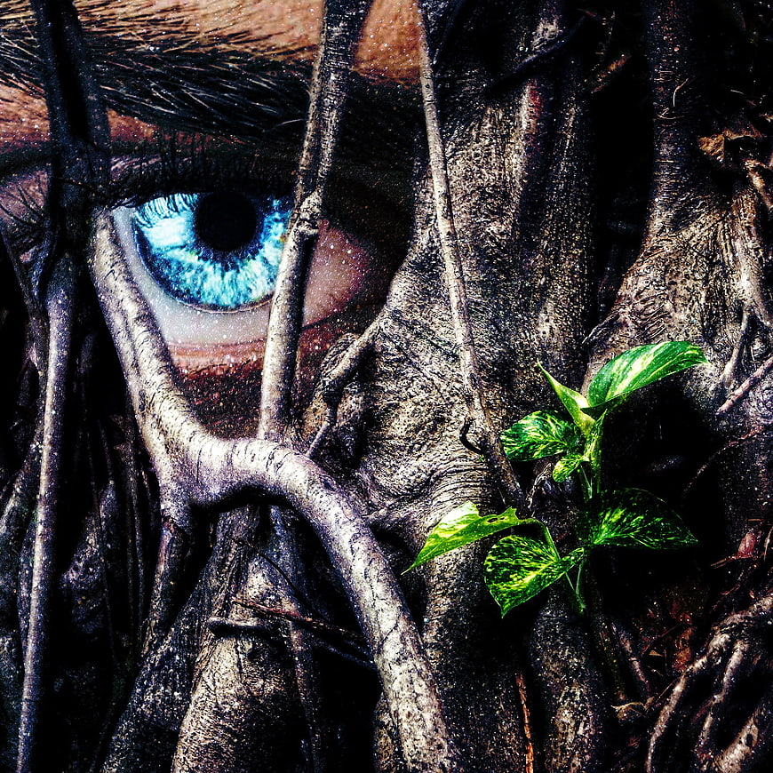 Blue eye peering through tree roots with green plant