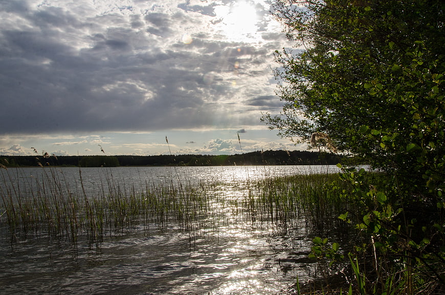 Sunlight breaking through clouds over a serene lake with reeds