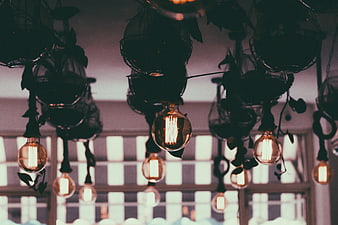 Vintage Edison Bulbs Hanging with Plants in Cafe Interior