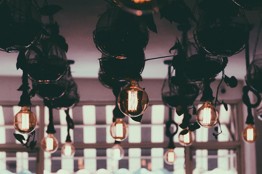 Vintage Edison Bulbs Hanging with Plants in Cafe Interior