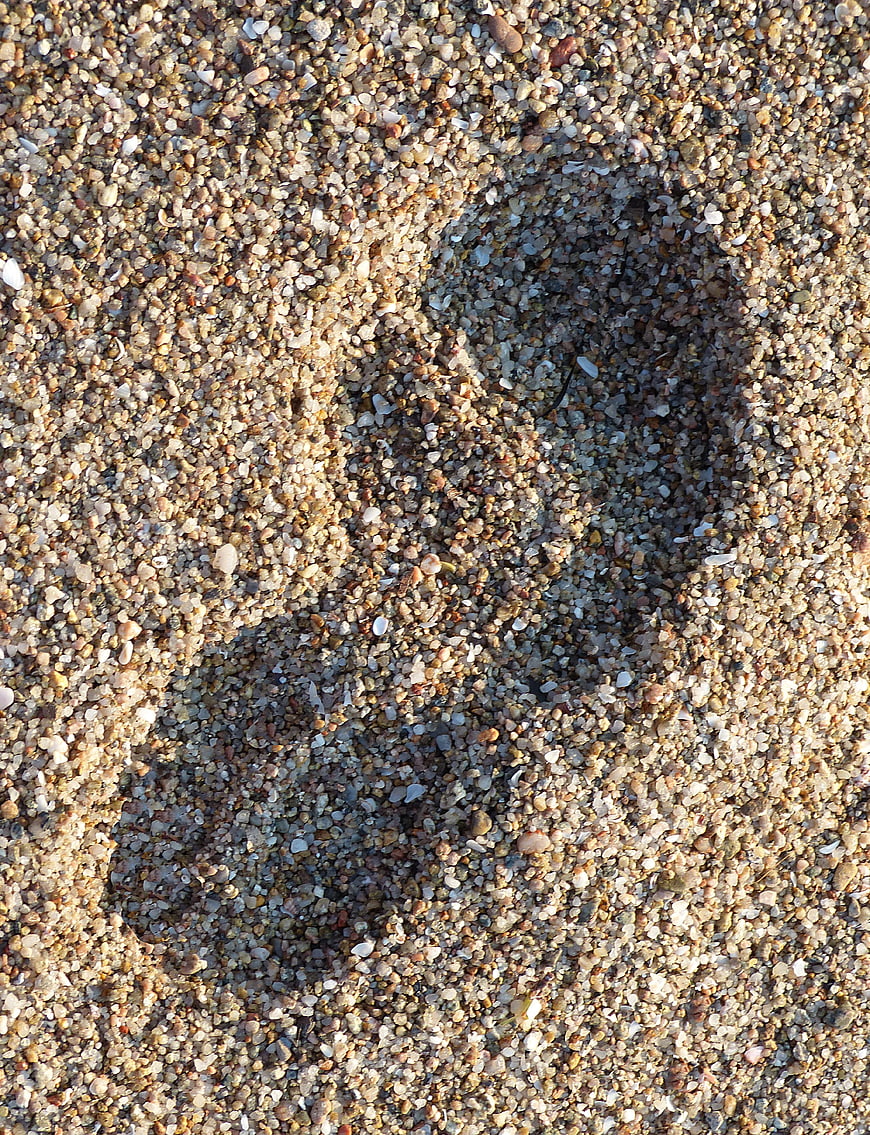 Close-up of human footprint in coarse beach sand