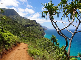 Hiking Trail Overlooking Turquoise Ocean And Lush Green Cliffs In Hawaii