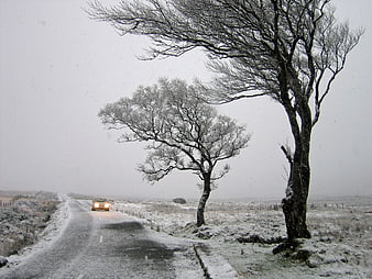 Snowy rural road with car headlights and bare trees in winter storm