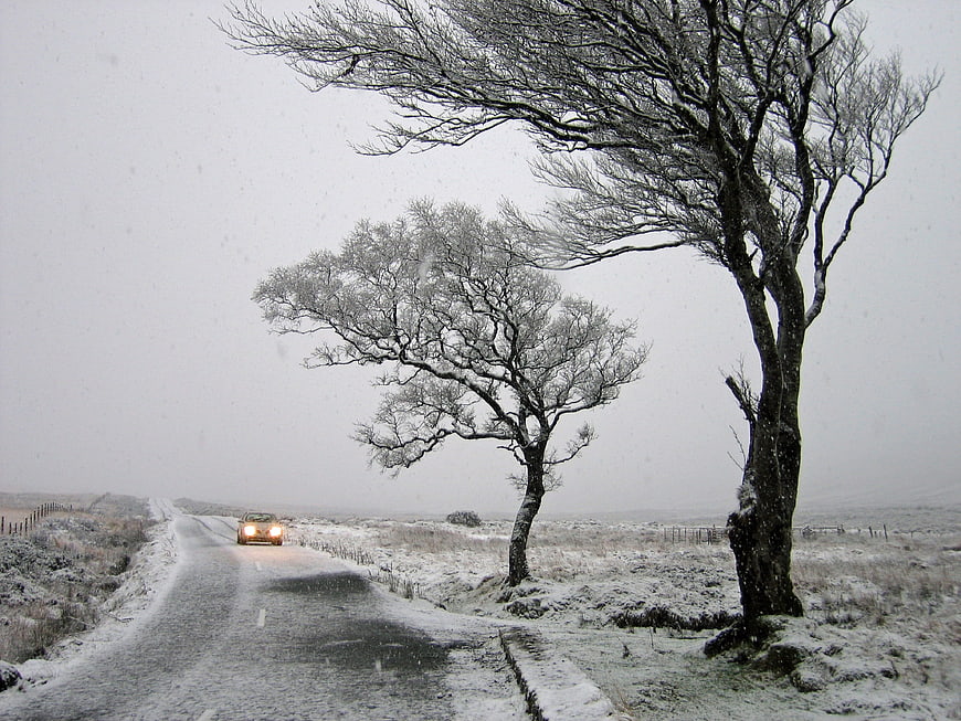 Snowy rural road with car headlights and bare trees in winter storm