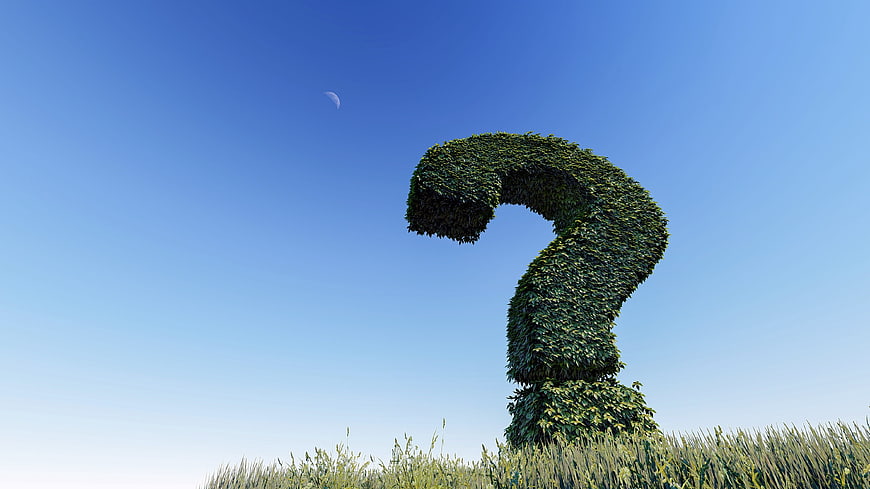 3D Green Hedge Question Mark Symbol In Blue Sky