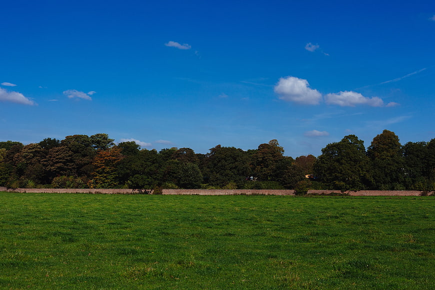 Green Grass Field Under Blue Sky with Trees
