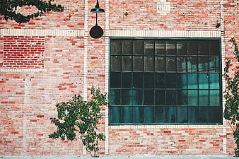 Vintage brick wall with large industrial window and green plants