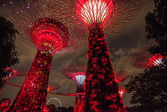 Gardens by the Bay Supertrees illuminated in red at night