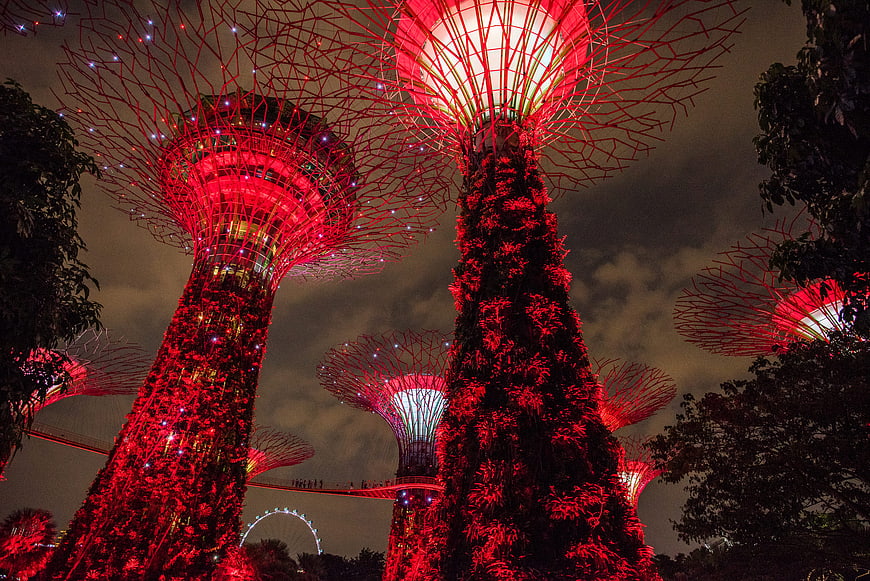 Gardens by the Bay Supertrees illuminated in red at night