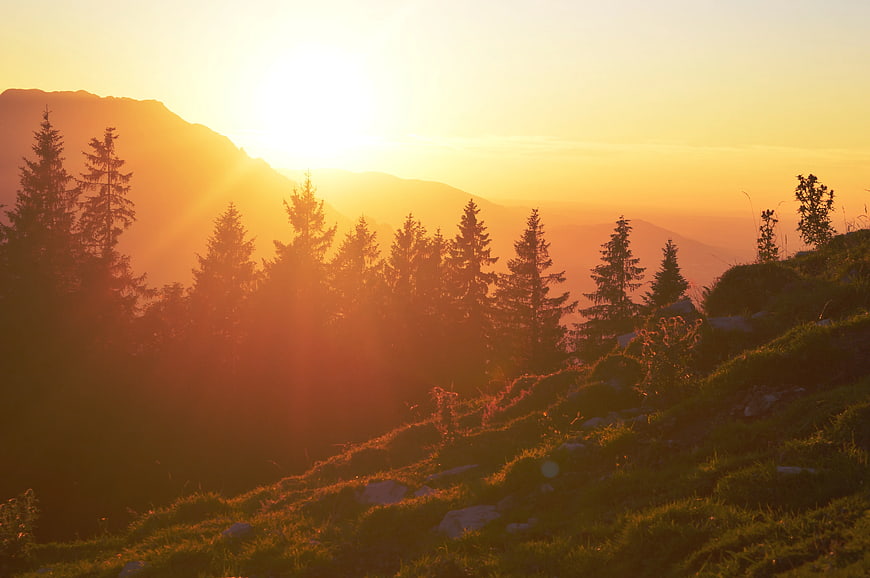 Golden Sunset Over Mountain Pine Forest Silhouette
