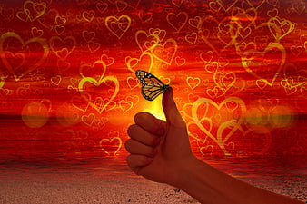 Butterfly on Thumb with Heart Background and Sunset