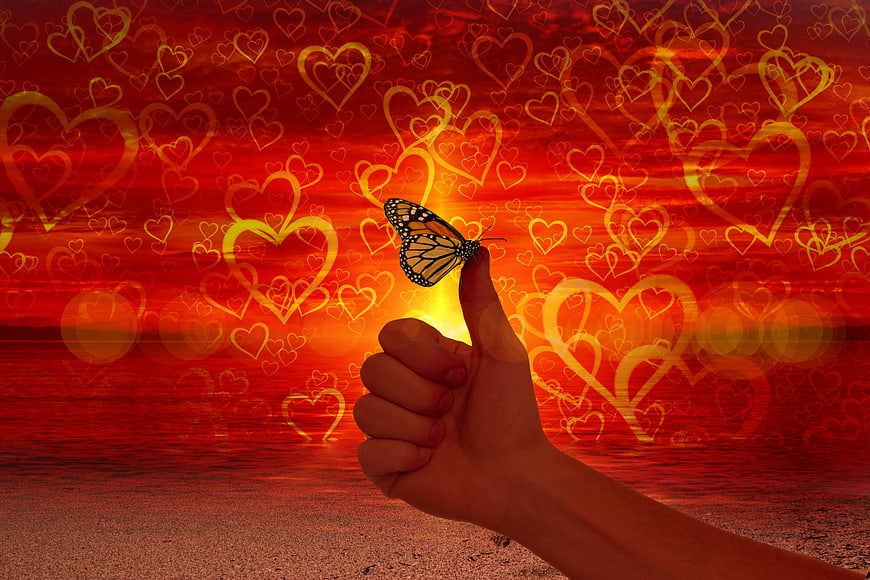 Butterfly on Thumb with Heart Background and Sunset