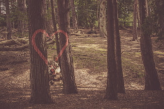 Red Heart Graffiti on Trees in Forest