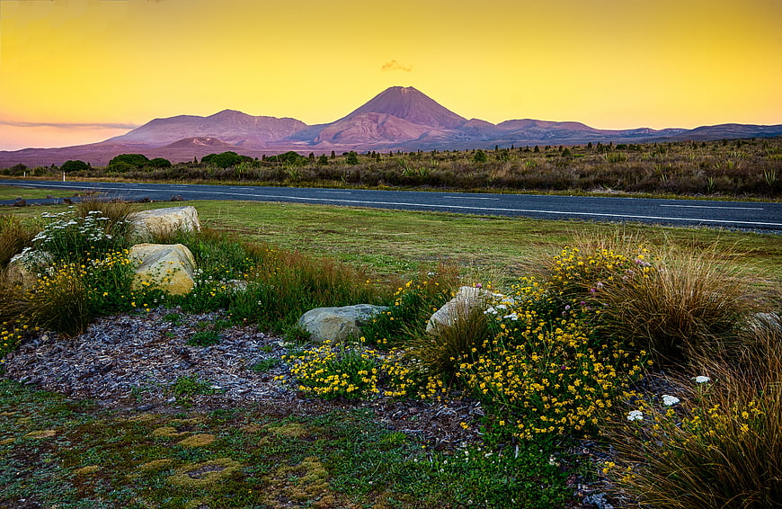 Tongariro Volcano Landscape with Yellow Sky and Roadside Flowers
