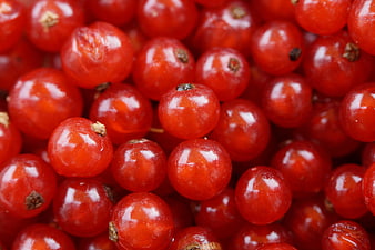 Close-up of fresh red currants with glossy texture
