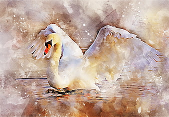 Watercolor Painting of a White Swan with Spread Wings on Water