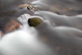 Long Exposure Mossy Rocks in Flowing Stream