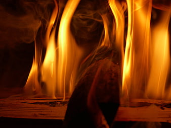 Close-up of burning wood logs with bright orange flames