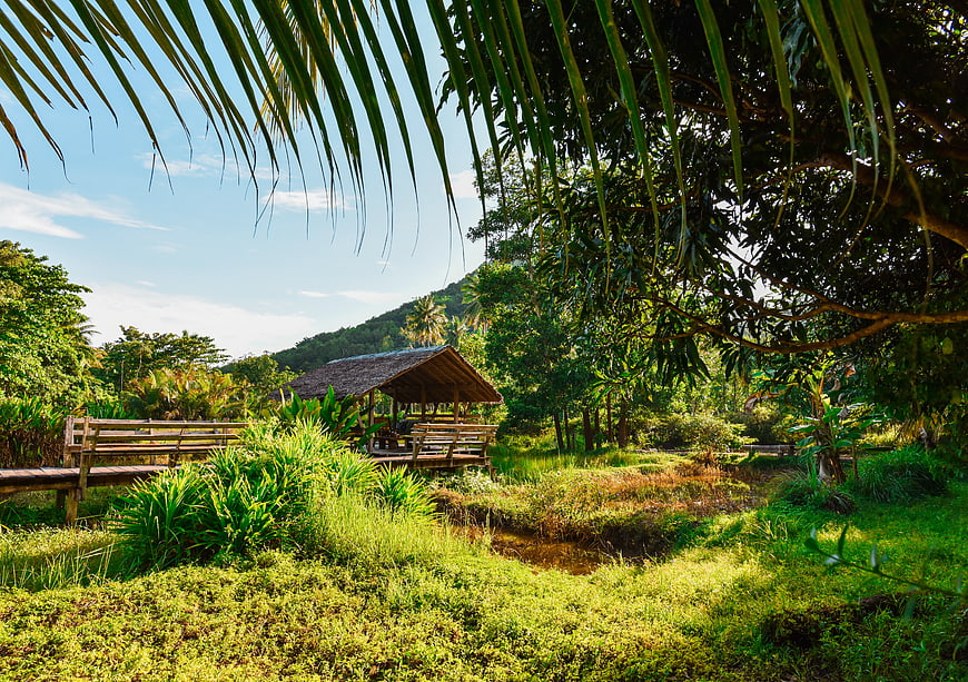 Tropical Garden with Wooden Hut and Lush Greenery