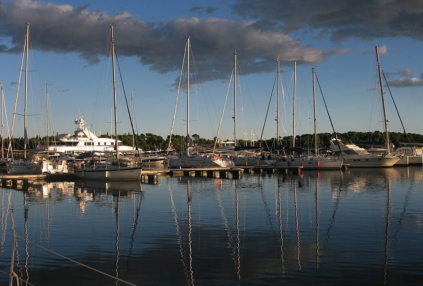 Sailboats docked in a calm marina with reflections