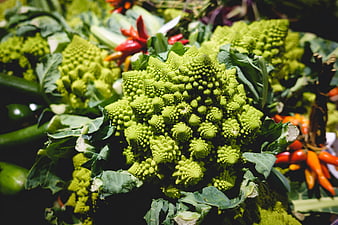 Close-up of fresh Romanesco broccoli with red peppers