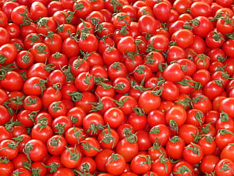 Fresh Red Cherry Tomatoes with Green Stems