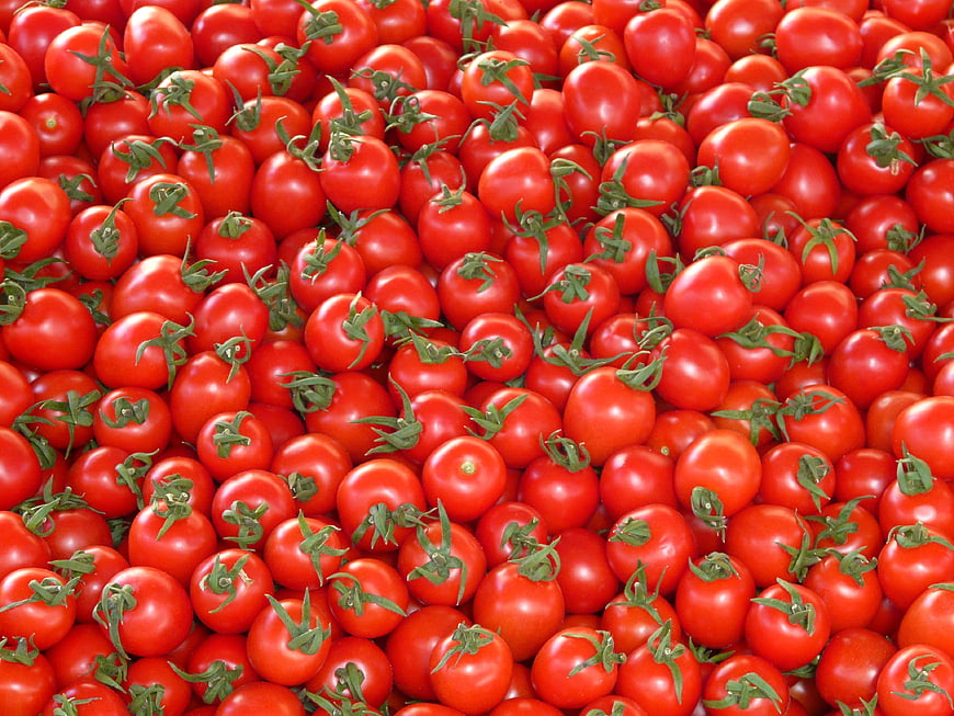 Fresh Red Cherry Tomatoes with Green Stems