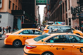 Yellow Taxi Cabs in New York City Traffic