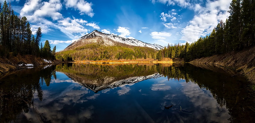 Panoramic Mountain Lake Reflection with Pine Forest
