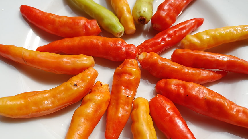 Colorful chili peppers arranged on a white plate