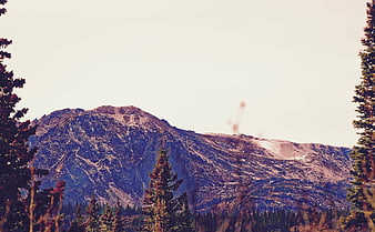 Snowy Mountain Peak Framed by Pine Trees in Forest