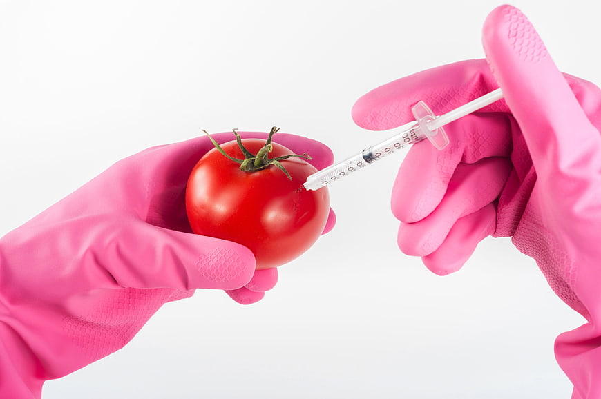 Pink Gloves Injecting Syringe into Red Tomato