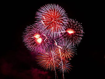 Vibrant red and purple fireworks exploding in night sky