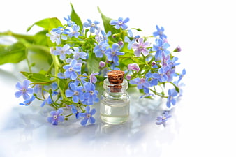 Essential Oil Bottle with Blue Forget-Me-Not Flowers