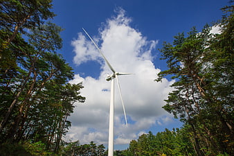 White wind turbine in pine forest against blue sky