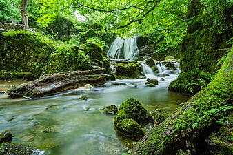 Serene Forest Waterfall with Mossy Rocks and Flowing Stream