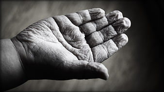 Close-up of wrinkled elderly hand in black and white
