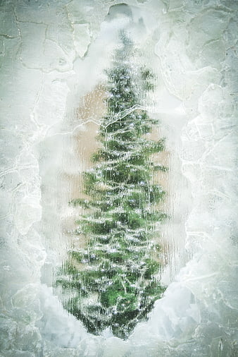 Frozen Christmas Tree Encased in Ice