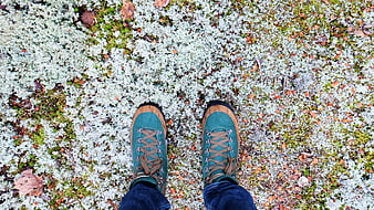 Teal Hiking Boots on Lichen-Covered Forest Floor