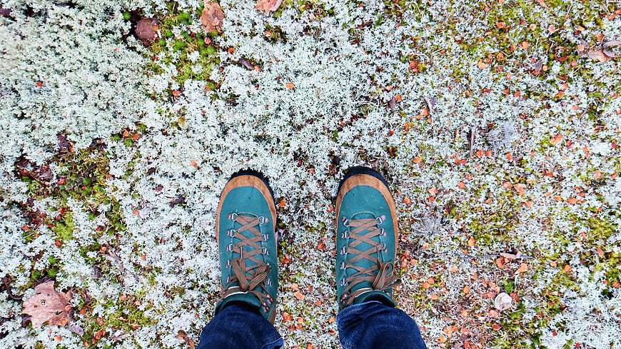 Teal Hiking Boots on Lichen-Covered Forest Floor
