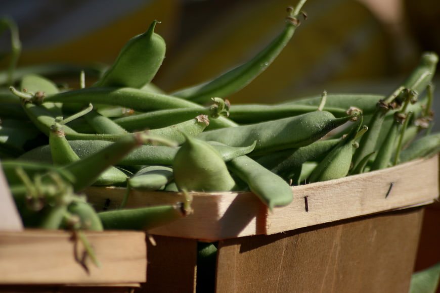 Fresh Green Beans in Wooden Crate Close Up