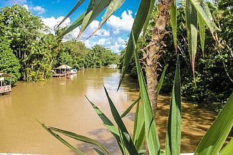 Tropical river landscape with jungle foliage and floating huts