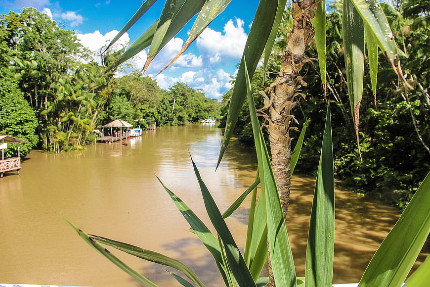 Tropical river landscape with jungle foliage and floating huts