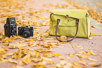 Vintage Cameras and Green Bag on Autumn Leaves