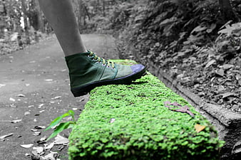 Green Shoe on Mossy Path in Black and White Forest