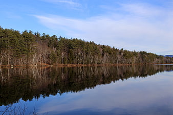 Serene Lake Reflection with Forest and Blue Sky